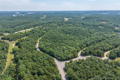 Surrounded by mature trees and natural Ozarks beauty, this - photo 27