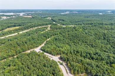 Surrounded by mature trees and natural Ozarks beauty, this - photo 28