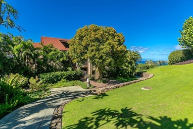 FABULOUS world class Wailea Point *double* unit with a MOST - photo 46
