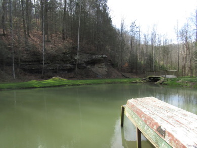 70.34ac Old Hwy 63 N/S SOLD - Lake Lot SOLD! in Pioneer, Tennessee