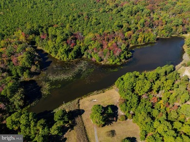 Nestled within the prestigious St. Jeromes subdivision, this - photo 17