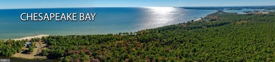 Nestled within the prestigious St. Jeromes subdivision, this - photo 25