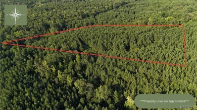 Lake Acreage For Sale in Dadeville, Alabama