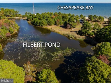 Nestled within the prestigious St. Jeromes subdivision, this - photo 32