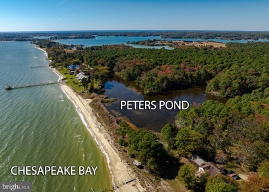 Nestled within the prestigious St. Jeromes subdivision, this - photo 35