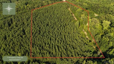 Lake Acreage For Sale in Dadeville, Alabama