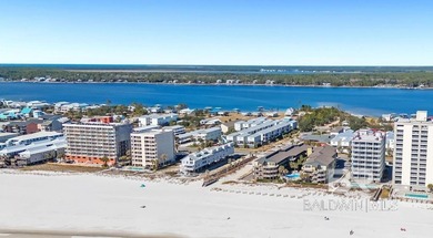 Looking for a turn-key investment in the coveted Lost Dunes - photo 43