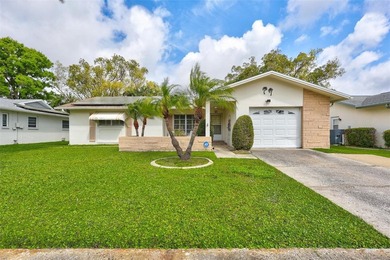 Lake Tarpon Home For Sale in Palm Harbor Florida