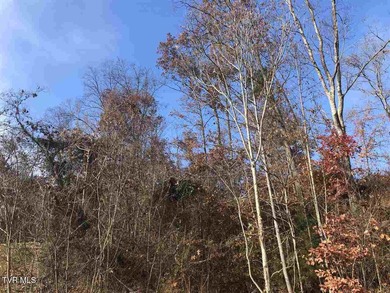 Holston River - Hawkins County Lot For Sale in Rogersville Tennessee