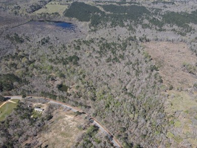 WELCOME TO THE SIMPSON 56-A PINOLA PRIVACY TRACT! This 56+/- - photo 1