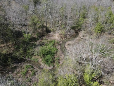 WELCOME TO THE SIMPSON 56-A PINOLA PRIVACY TRACT! This 56+/- - photo 2