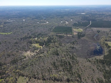 WELCOME TO THE SIMPSON 56-A PINOLA PRIVACY TRACT! This 56+/- - photo 4