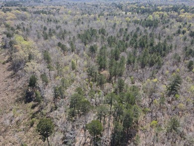 WELCOME TO THE SIMPSON 56-A PINOLA PRIVACY TRACT! This 56+/- - photo 7