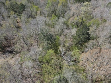 WELCOME TO THE SIMPSON 56-A PINOLA PRIVACY TRACT! This 56+/- - photo 10