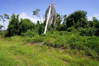 Great location to invest or build. Lot. 80 x 120 x 80 x 120 = 10 - photo 3