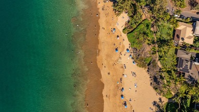 Inviting one-bedroom, one-bath condo in the highly regarded Maui - photo 34