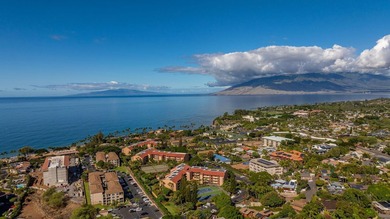 Inviting one-bedroom, one-bath condo in the highly regarded Maui - photo 40