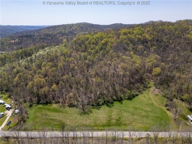 Lake Acreage For Sale in Hamlin, West Virginia