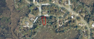 North Lake - Marion County Lot For Sale in Silver Springs Florida