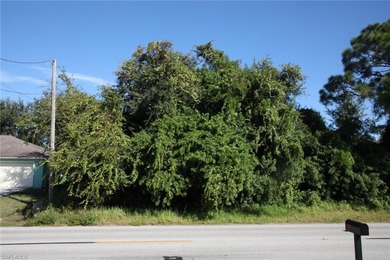 Lehigh Acres Area Lot For Sale in Lehigh Acres Florida