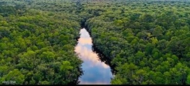 Lake Acreage For Sale in West Bay, Florida