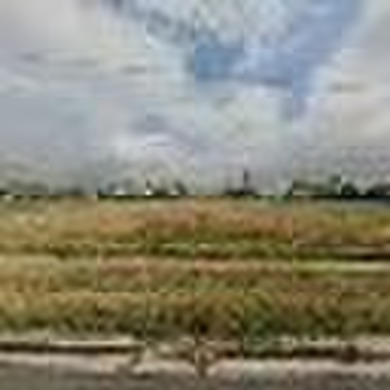 Very large lot of about 100 x 200'. Conveniently located one - photo 2