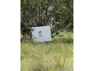 *Build your dream home on this stunning vacant hill country lot - photo 8