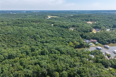 This premier Lakefront lot at The Villages at Shawnee Bend - photo 14