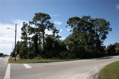 Lehigh Acres Area Lot For Sale in Lehigh Acres Florida