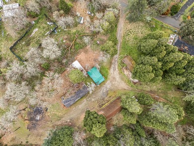 A rare, accessible Southern Oregon commercial/residential - photo 33