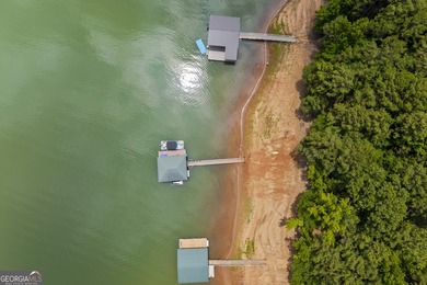 Experience luxury lakefront living on Lake Hartwell in Lavonia - photo 37