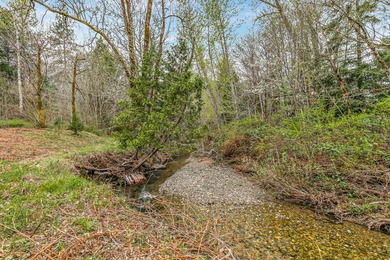 A rare, accessible Southern Oregon commercial/residential - photo 37