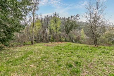 A rare, accessible Southern Oregon commercial/residential - photo 38