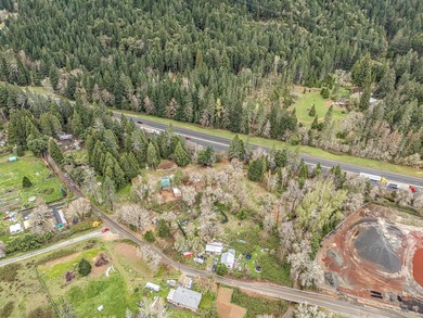 A rare, accessible Southern Oregon commercial/residential - photo 46