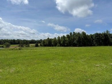 Build your home overlooking this lake! Lots of frontage on - photo 11