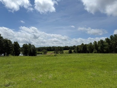 Build your home overlooking this lake! Lots of frontage on - photo 12