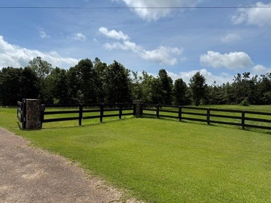 Build your home overlooking this lake! Lots of frontage on - photo 13