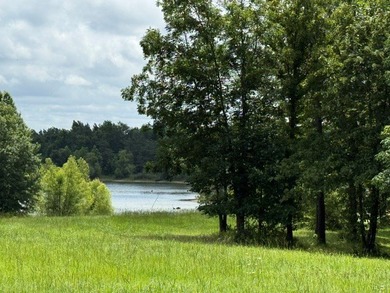 Build your home overlooking this lake! Lots of frontage on - photo 14
