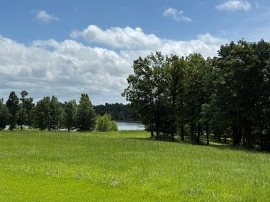 Build your home overlooking this lake! Lots of frontage on - photo 15