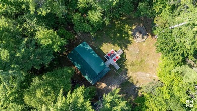 Beautifully renovated Adirondack chalet with no rental - photo 26