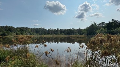 Lake Acreage For Sale in Doniphan, Missouri