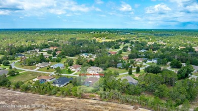 Tooke Lake Home For Sale in Weeki Wachee Florida