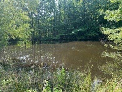 Embrace a rare opportunity to own a multi-generational farm in - photo 15