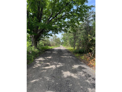Fantastic 1.15-acre parcel located on main road, featuring a - photo 15