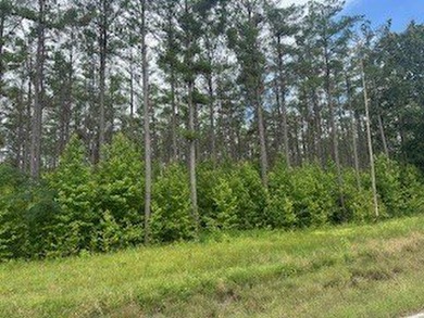 Embrace a rare opportunity to own a multi-generational farm in - photo 16