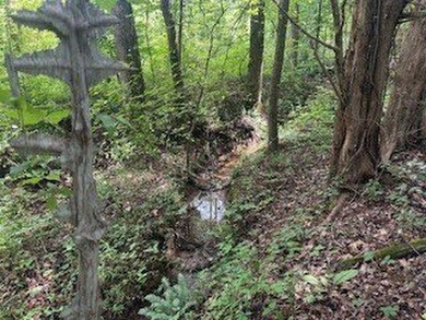Embrace a rare opportunity to own a multi-generational farm in - photo 18