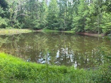 Embrace a rare opportunity to own a multi-generational farm in - photo 19