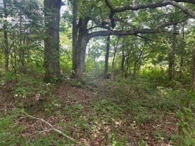 Embrace a rare opportunity to own a multi-generational farm in - photo 21