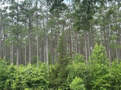 Embrace a rare opportunity to own a multi-generational farm in - photo 22