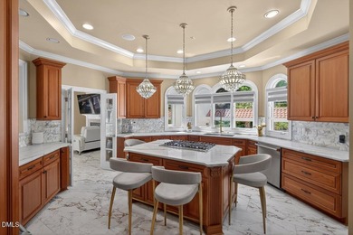 Welcome to 2504 Vintage Hill Court -- a masterfully transformed - photo 22